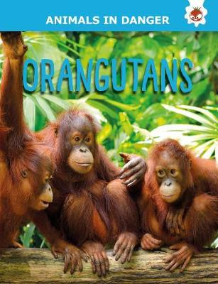 Cover of Orangutans