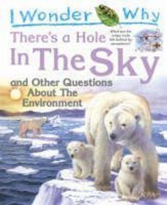 Book cover for I Wonder Why There's a Hole in the Sky