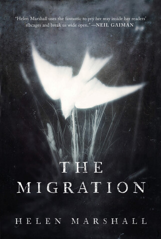 Book cover for The Migration