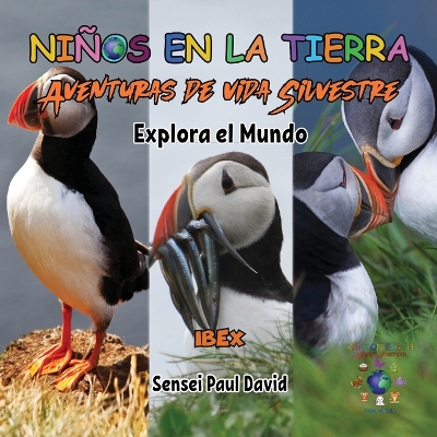 Book cover for Niños en la Tierra Aventuras de vida Silvestre - Explora el Mundo Puffin - Iceland