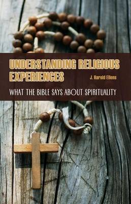 Book cover for Understanding Religious Experiences: What the Bible Says about Spirituality