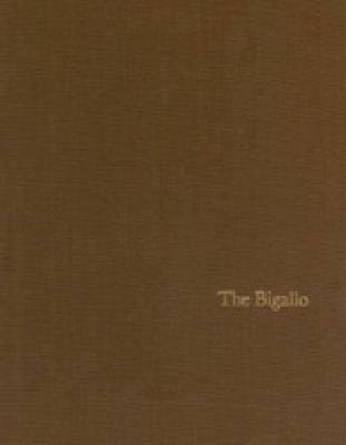 Book cover for The Bigallo