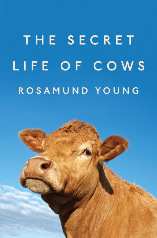 Cover of The Secret Life of Cows