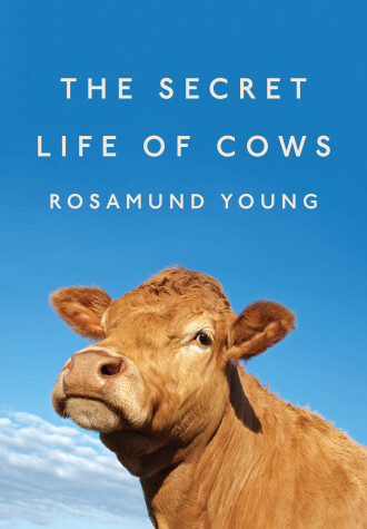 Book cover for The Secret Life of Cows