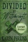 Book cover for Divided by Witchcraft