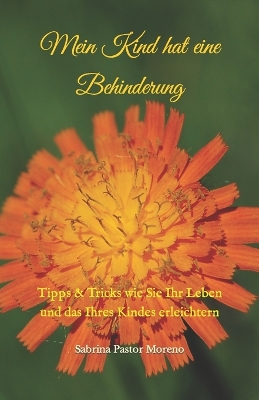 Cover of Mein Kind hat eine Behinderung