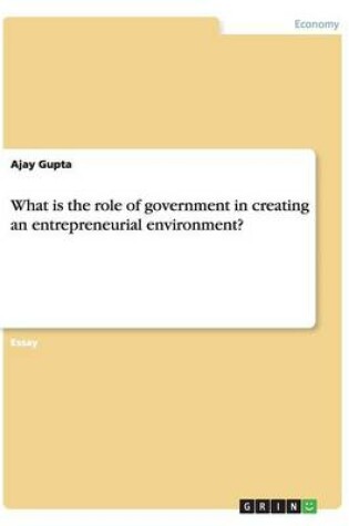 Cover of What is the role of government in creating anentrepreneurial environment?