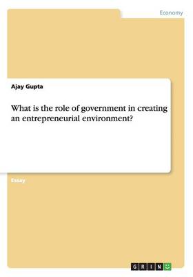 Book cover for What is the role of government in creating anentrepreneurial environment?