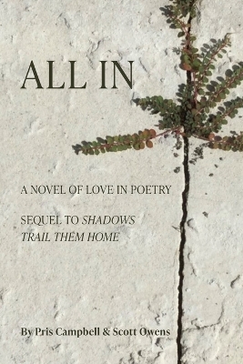 Book cover for All In