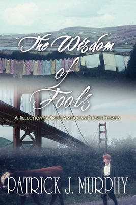 Book cover for The Wisdom of Fools