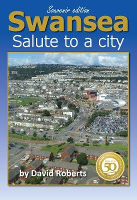 Book cover for Swansea