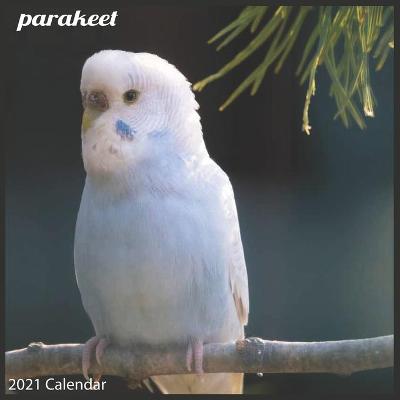 Book cover for parakeet 2021 Calendar