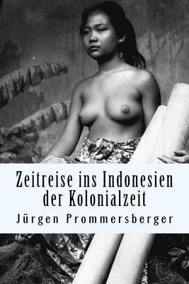 Book cover for Zeitreise ins Indonesien der Kolonialzeit