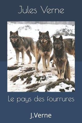 Book cover for Le pays des fourrures