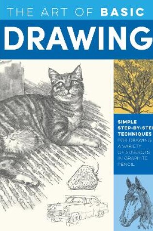 The Art of Basic Drawing