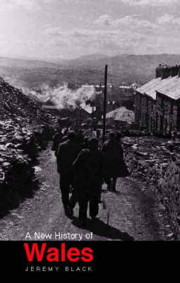 Book cover for A New History of Wales