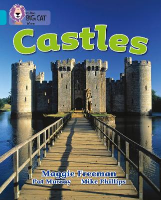 Book cover for Castles