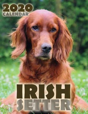Book cover for Irish Setter 2020 Calendar