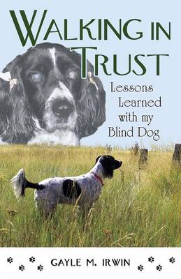 Book cover for Walking in Trust