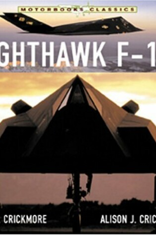 Cover of Nighthawk F-117