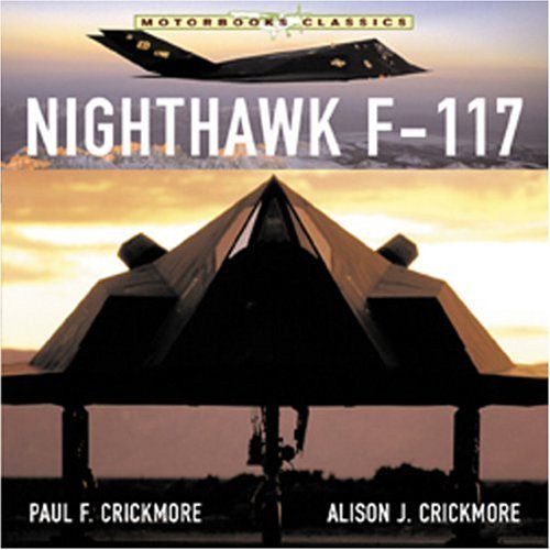 Book cover for Nighthawk F-117