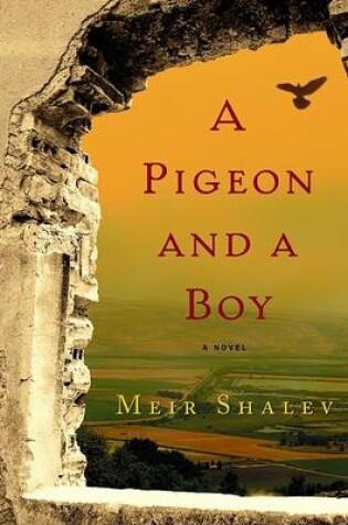 Cover of Pigeon and a Boy