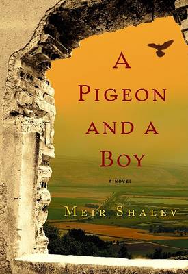 Book cover for Pigeon and a Boy