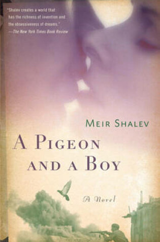 Cover of A Pigeon and a Boy