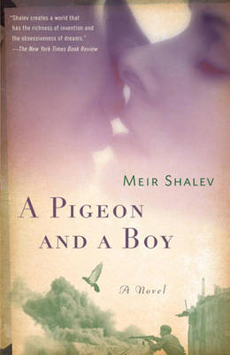 Book cover for A Pigeon and a Boy