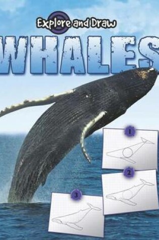 Cover of Whales