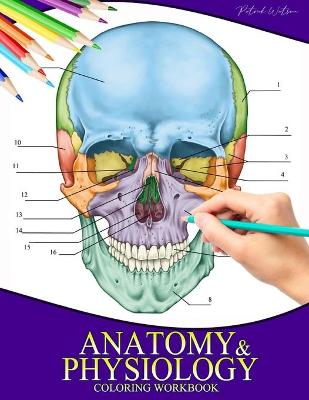 Book cover for Anatomy And Physiology Coloring Workbook