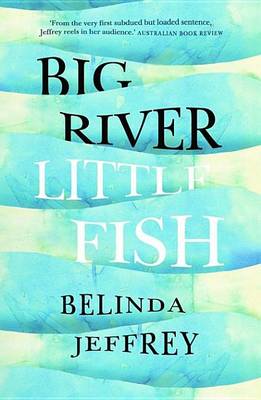 Book cover for Big River, Little Fish