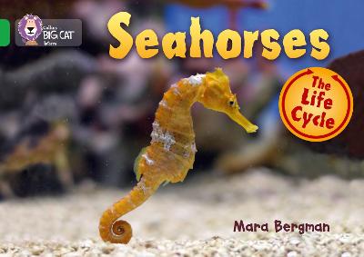 Cover of Seahorses