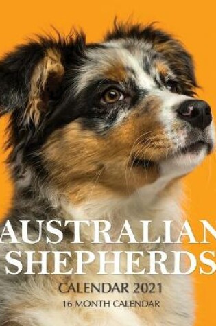 Cover of Australian Shepherds Calendar 2021