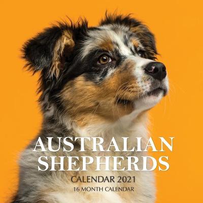 Book cover for Australian Shepherds Calendar 2021