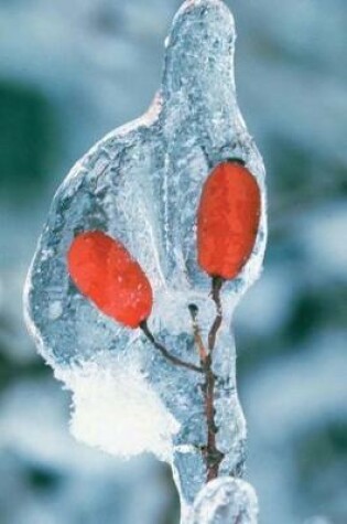 Cover of Journal Ice Covered Winter Flower