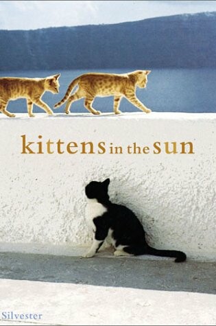 Cover of Kittens in the Sun