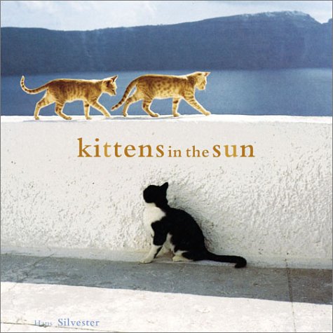 Book cover for Kittens in the Sun
