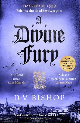 Book cover for A Divine Fury