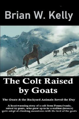 Book cover for The Colt Raised by Goats