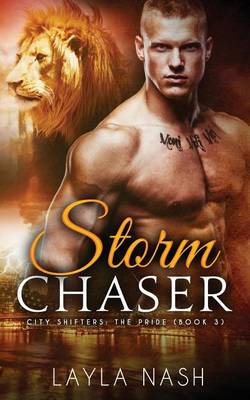 Book cover for Storm Chaser