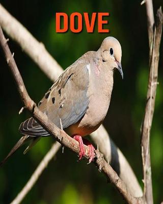 Book cover for Dove