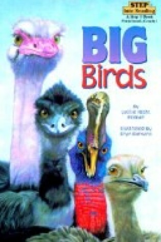 Cover of Big Birds Step 1