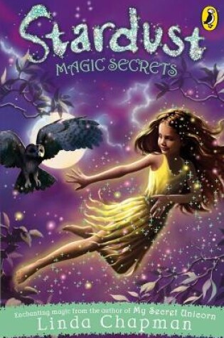 Cover of Magic Secrets