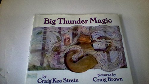 Book cover for Big Thunder Magic