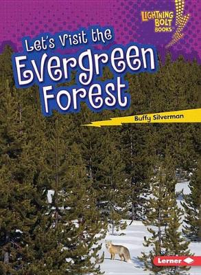 Book cover for Lets Visit the Evergreen Forest