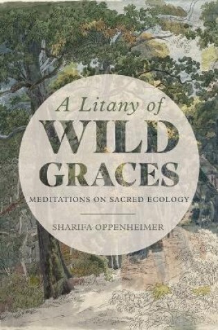 Cover of A Litany of Wild Graces