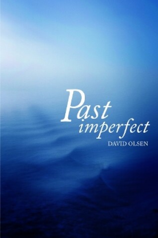 Cover of Past Imperfect