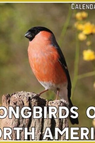 Cover of Songbirds of North America Calendar 2021