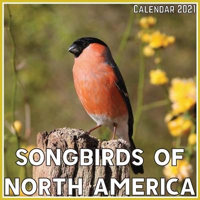 Book cover for Songbirds of North America Calendar 2021